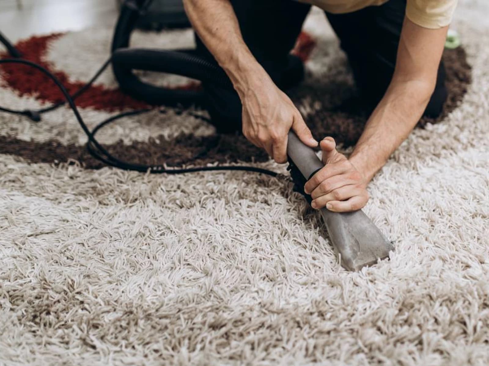 Carpet Cleaning Roseville CA – Keeping Your Floors Fresh &amp; Clean