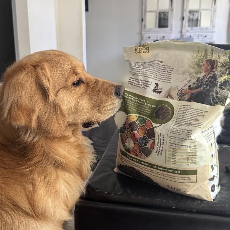 Dr Martys Dog Food: A Balanced Diet with Real Meat and Superfoods