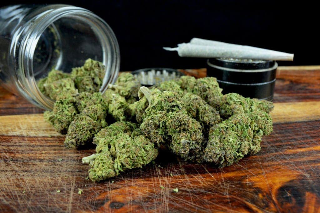 CBD small buds supplier profesional para grow shops, estancos y distribuidores en España