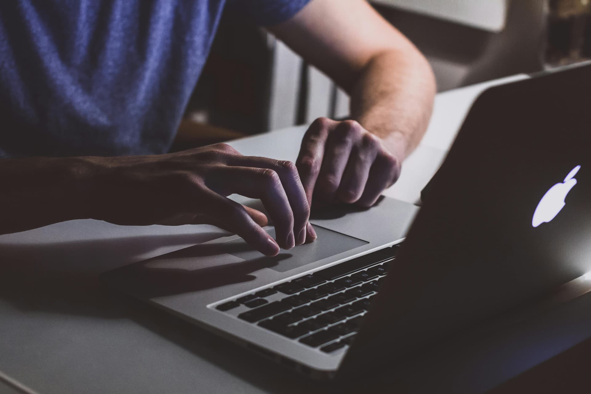 Expert Seo Services In USA for Long-Term Online Success | VexNex