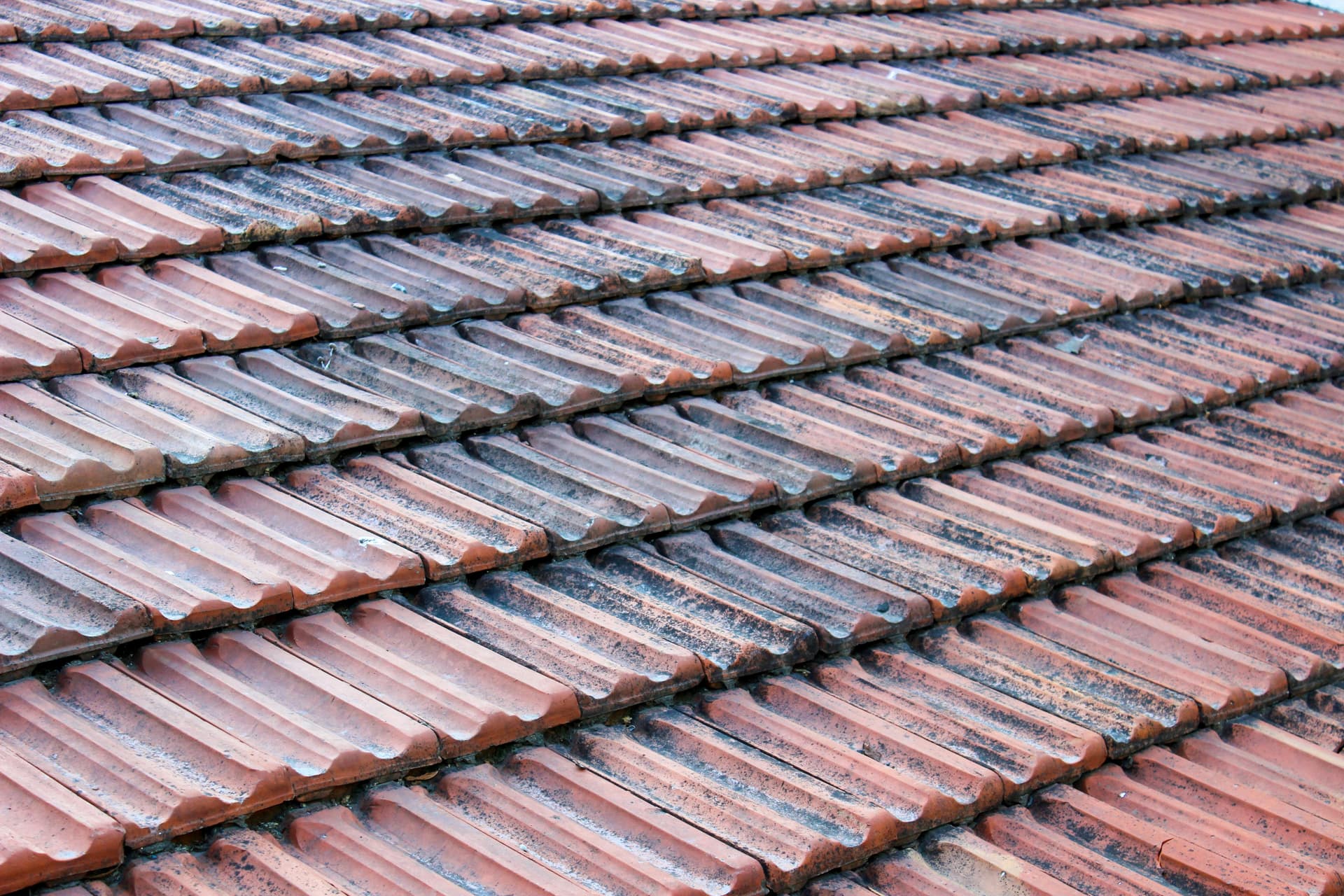 Roof Replacement Guide by Professional Roofing Companies Calgary