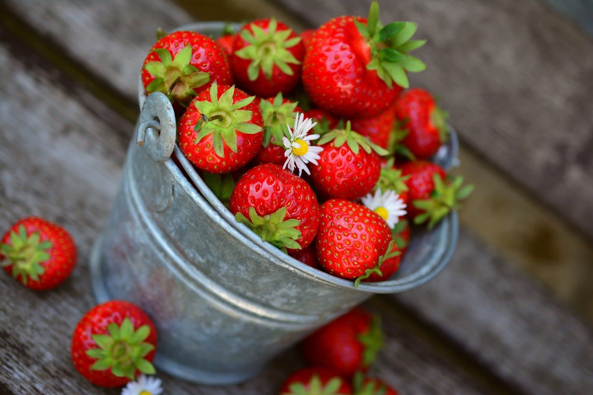 Organic Food Benefits Backed by Nature and Science