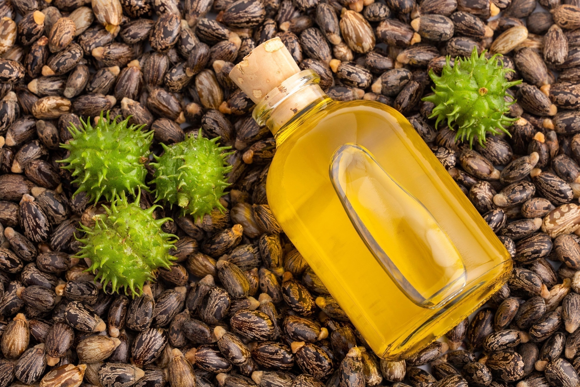 Why Castor Oil Is Essential for Nourishing Your Hair