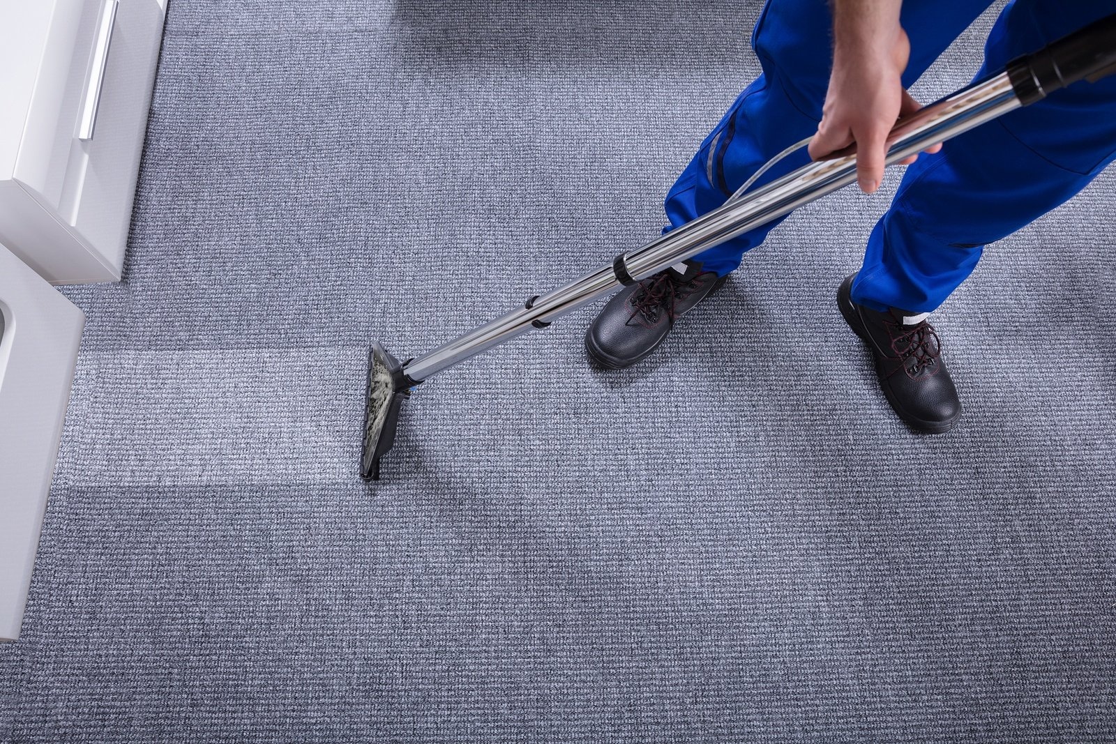 Find Carpet Cleaning Near Me – Professional Service at Your Door