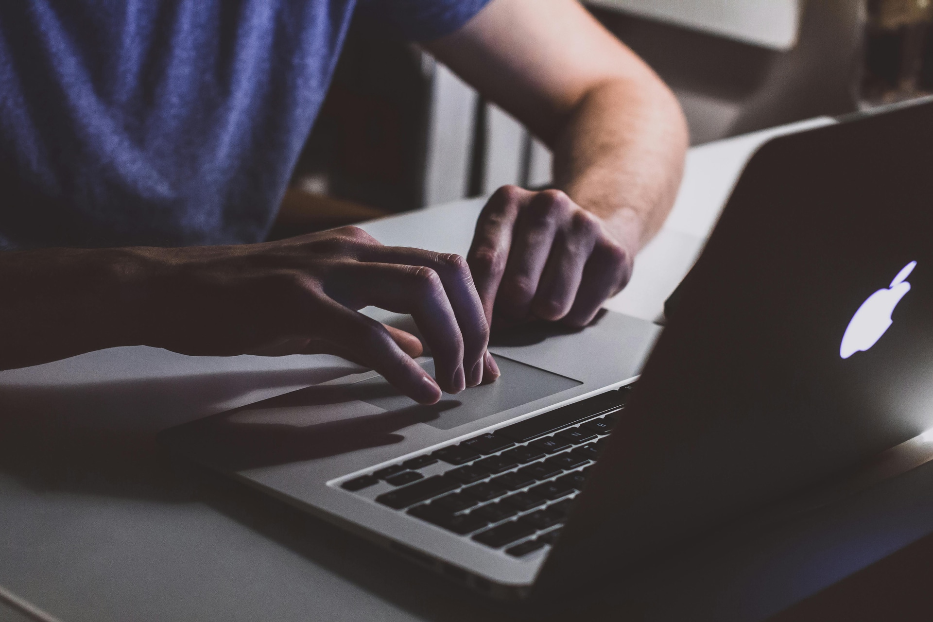 Expert Seo Services In USA for Long-Term Online Success | VexNex