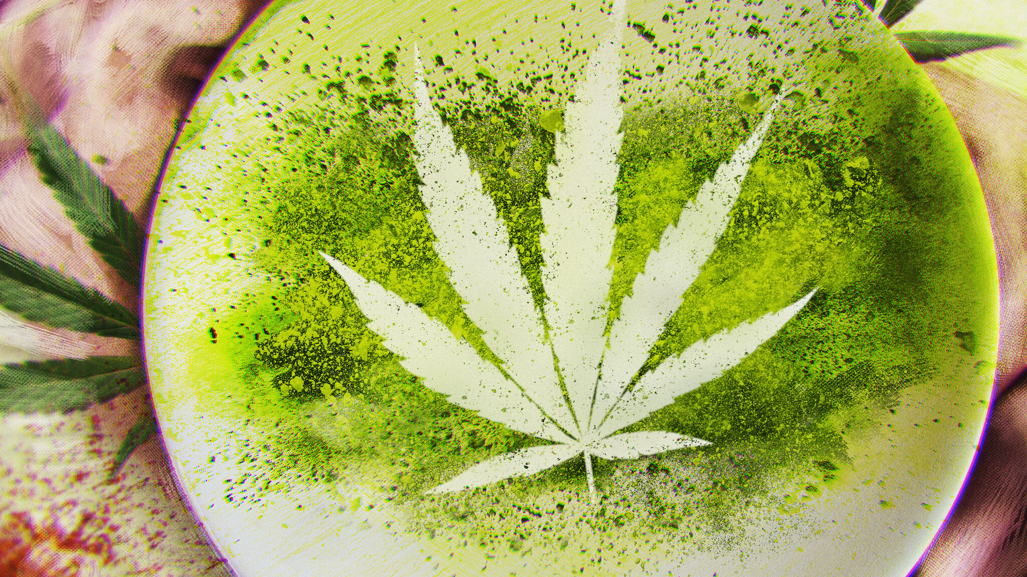 Cannabis club hamburg seit 2024 – Transparent & fair