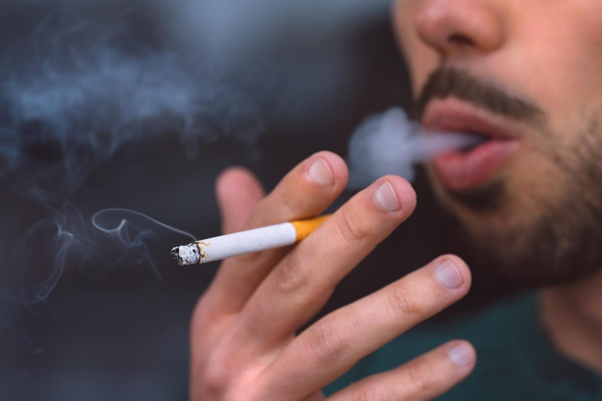 Find Top-Quality Select Smokes at My Native Smokes