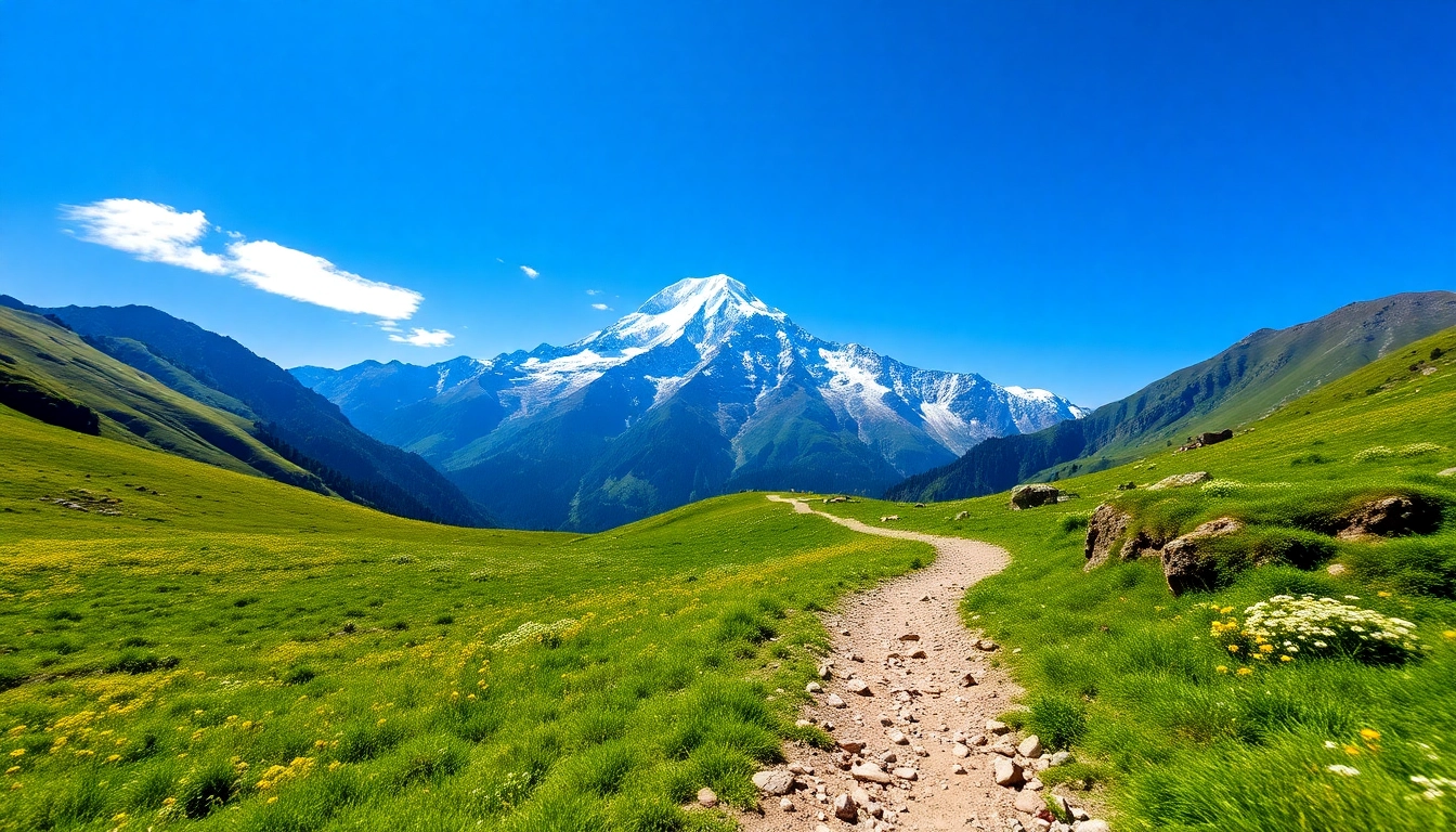 Trekking the Goechala trek with vibrant meadows and majestic Mount Kanchenjunga in the backdrop.