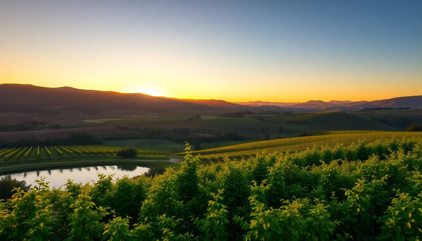 Scenic view of Clarksburg ca with serene lake, rolling hills, and vineyards at sunset.