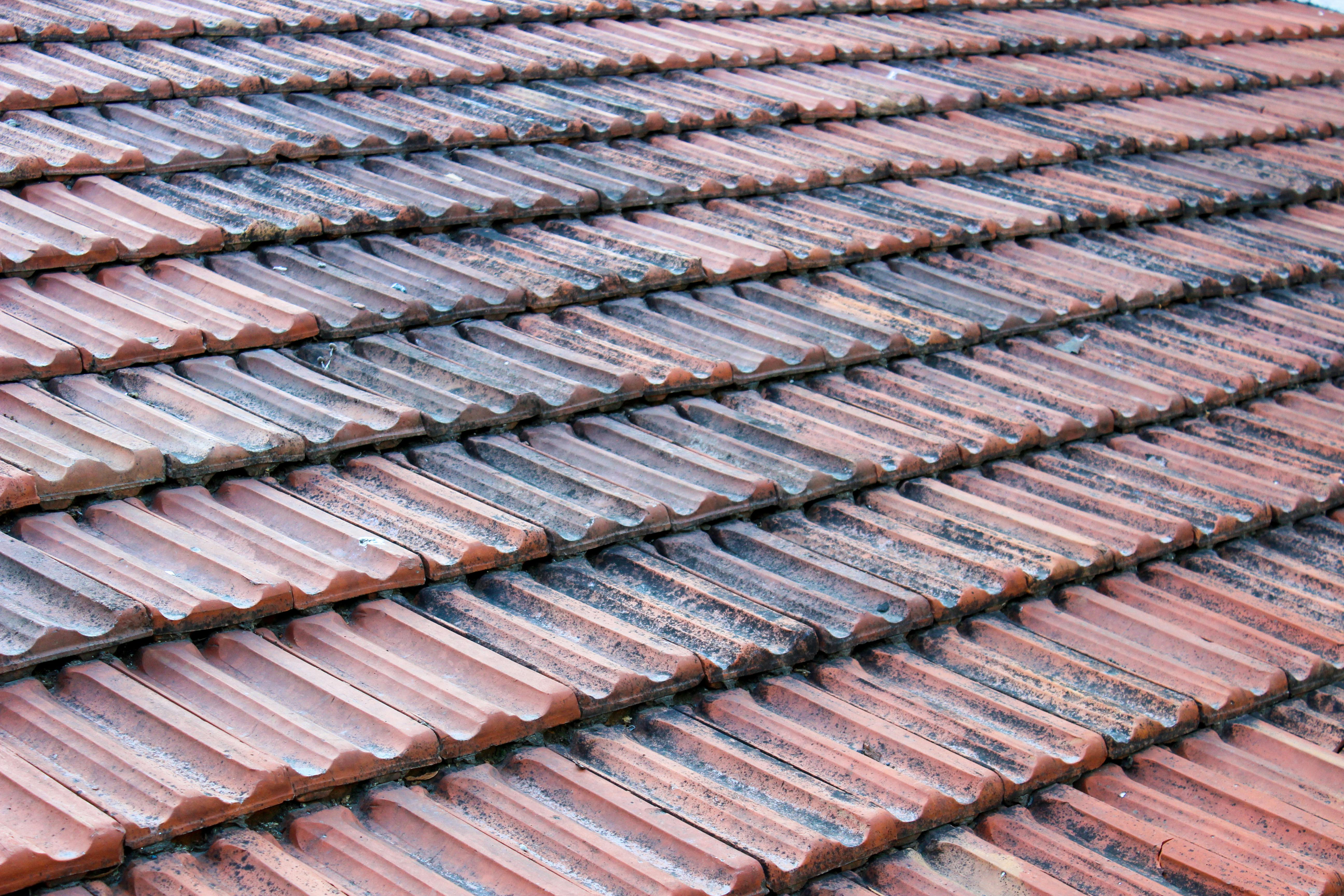 Roof Replacement Guide by Professional Roofing Companies Calgary