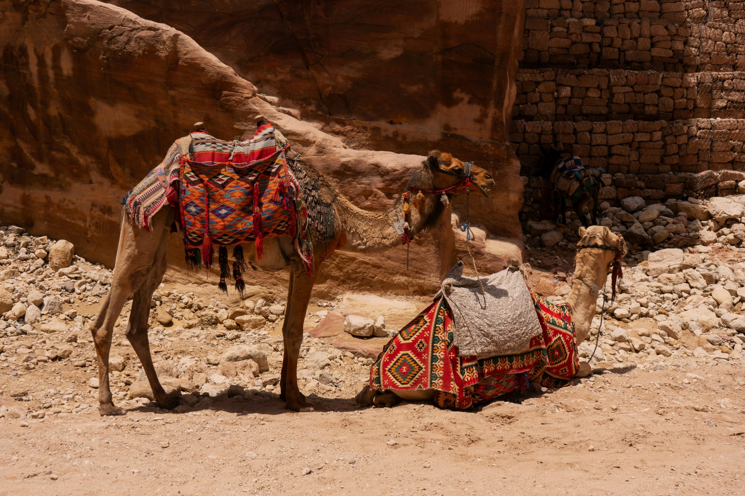 Discover Sacred Sites with Holy Land Tours from Jordan