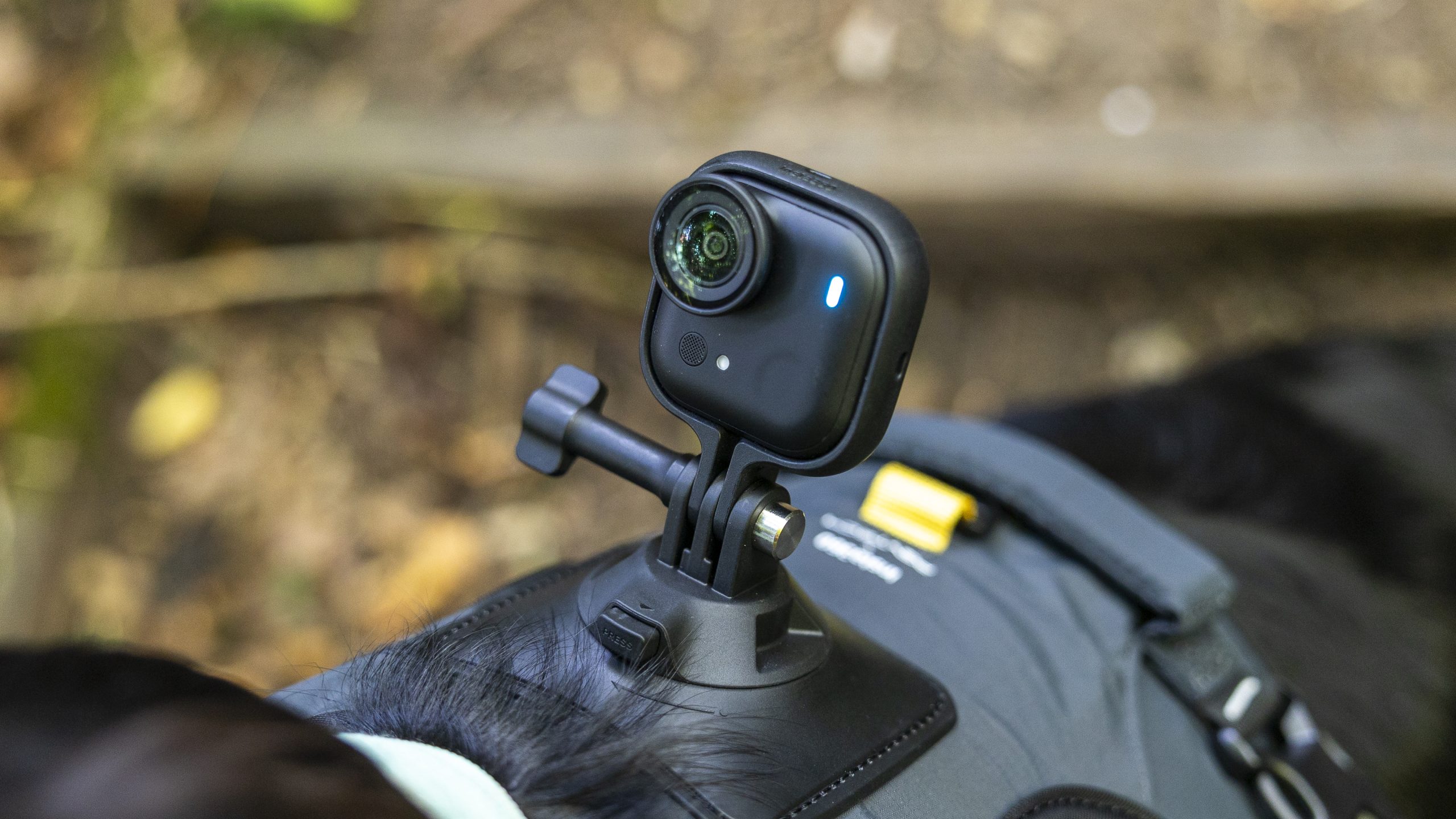 Insta360 Cameras: Designed for Bold, Wild, and Limitless Filmmakers