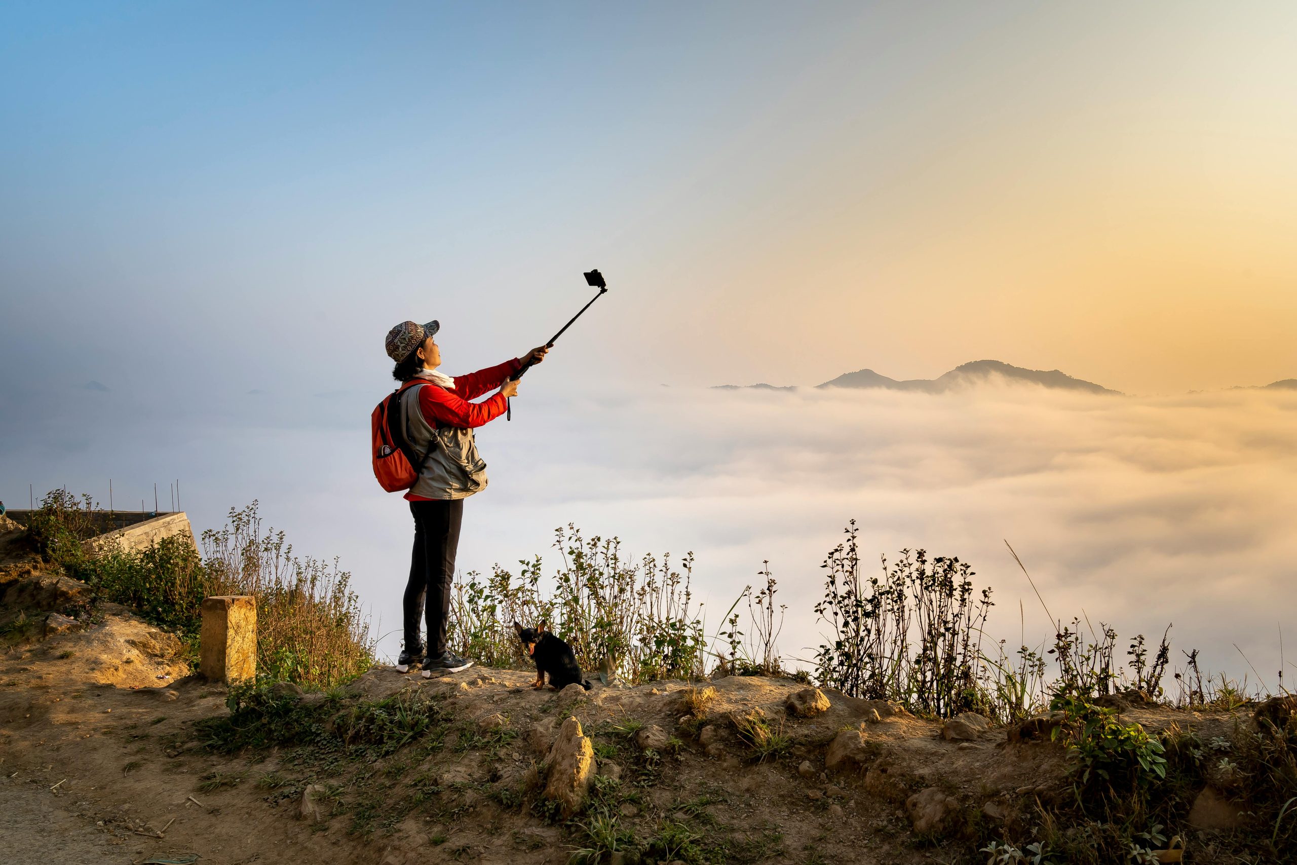 Why Hohem Gimbals Are the Choice of Professionals Worldwide