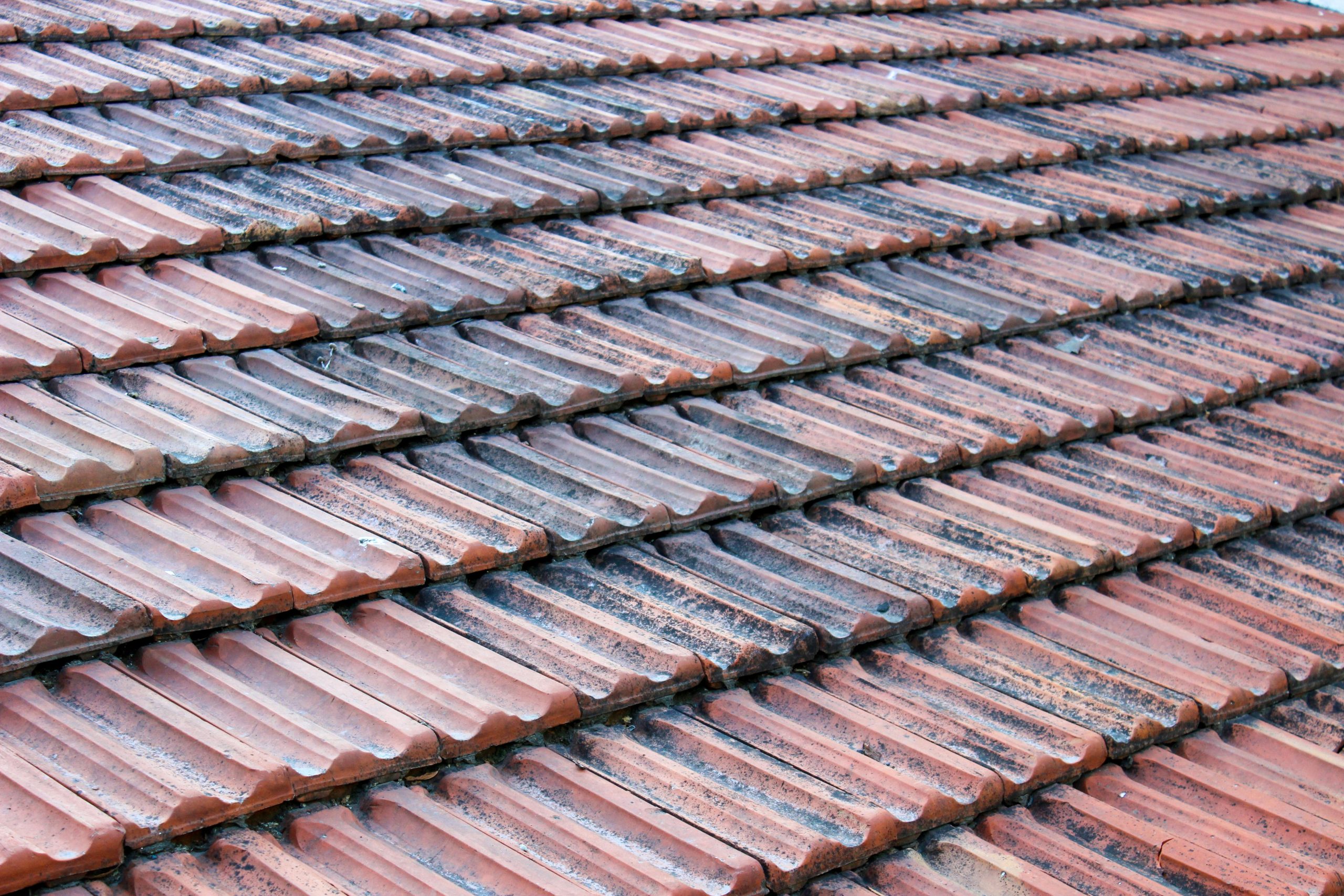 Roof Replacement Guide by Professional Roofing Companies Calgary