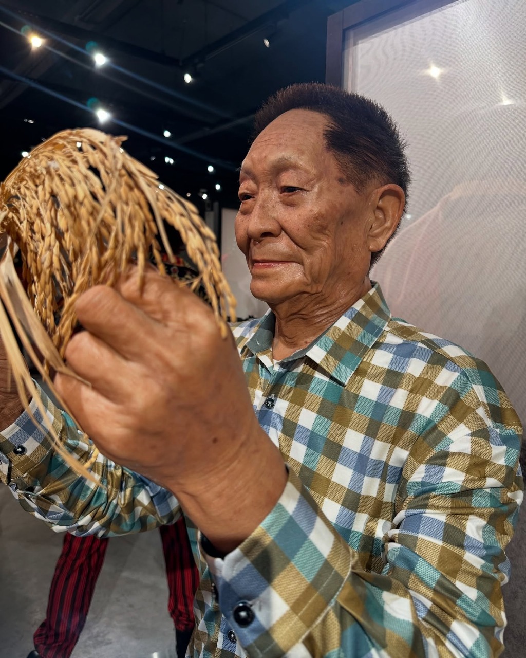 Innovative Wax Museum Project Solutions for Cultural Attractions