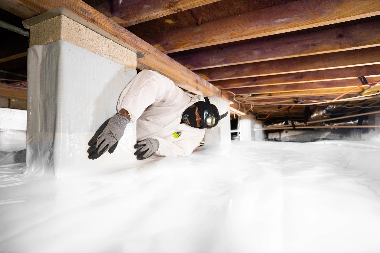 Family-Owned Crawl Space Restoration Company Near You